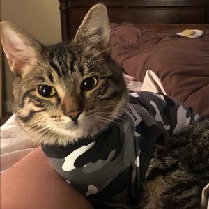 Meet your Posher, Suzanne